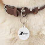 Pet Tag